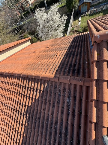 Comment le démoussage & le traitement hydrofuge coloré transforment votre toiture à Chassieu ?