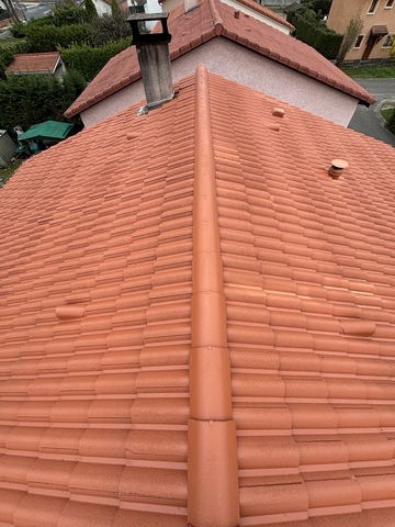 Comment le démoussage & le traitement hydrofuge coloré transforment votre toiture à Chassieu ?