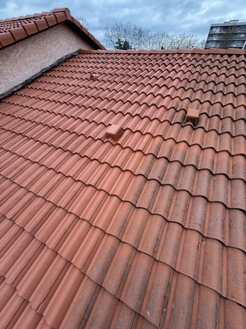 Comment le démoussage & le traitement hydrofuge coloré transforment votre toiture à Chassieu ?